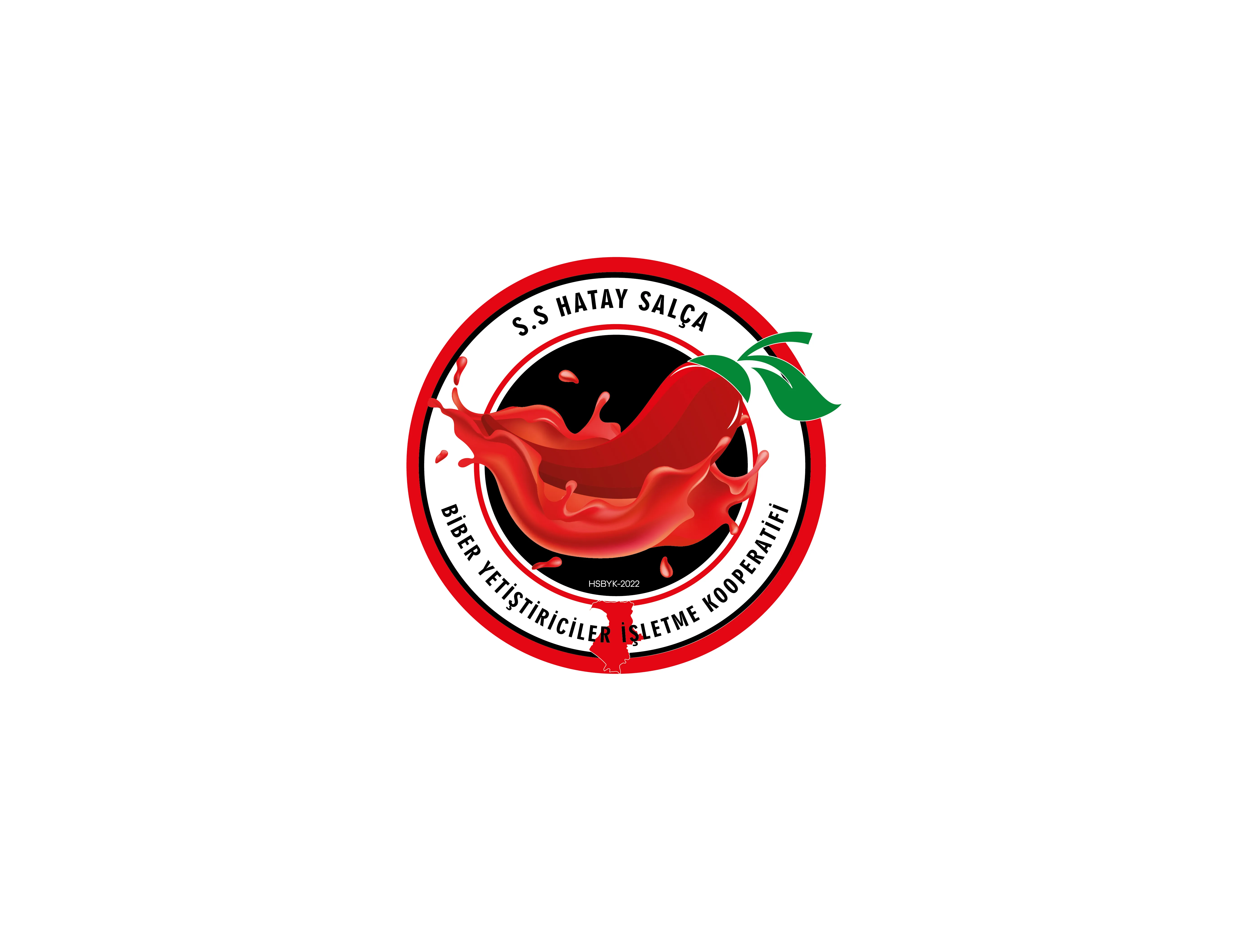 HATAY SALÇACILAR LOGO TASARIM