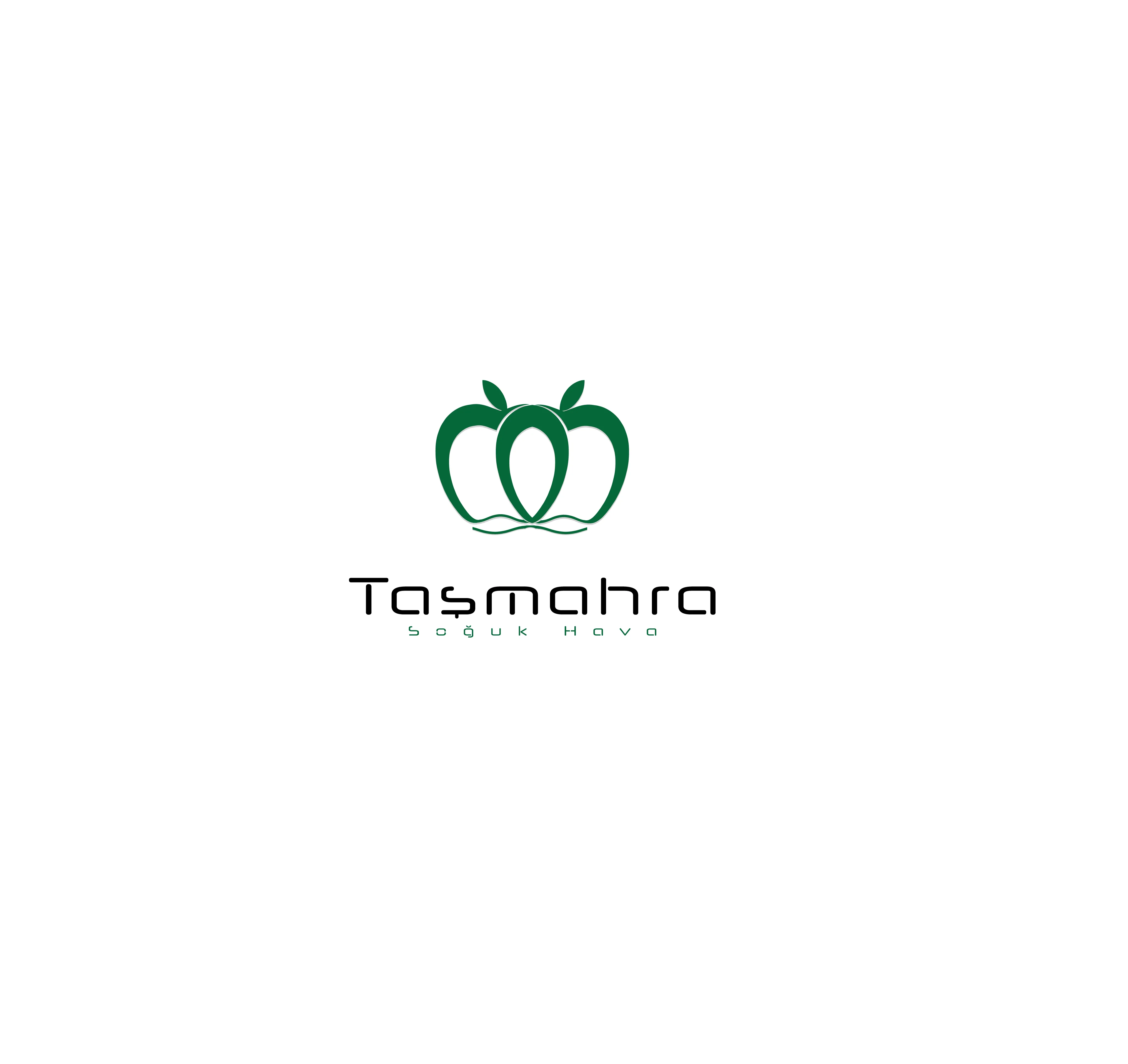 TAŞMAHRA SOĞUK HAVA DEPO LOGO TASARIM